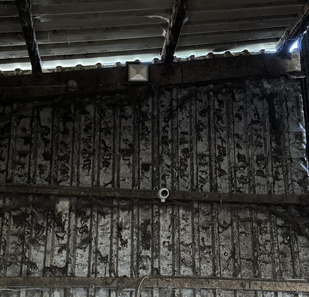 CCTV camera mounted high inside a cattle shed