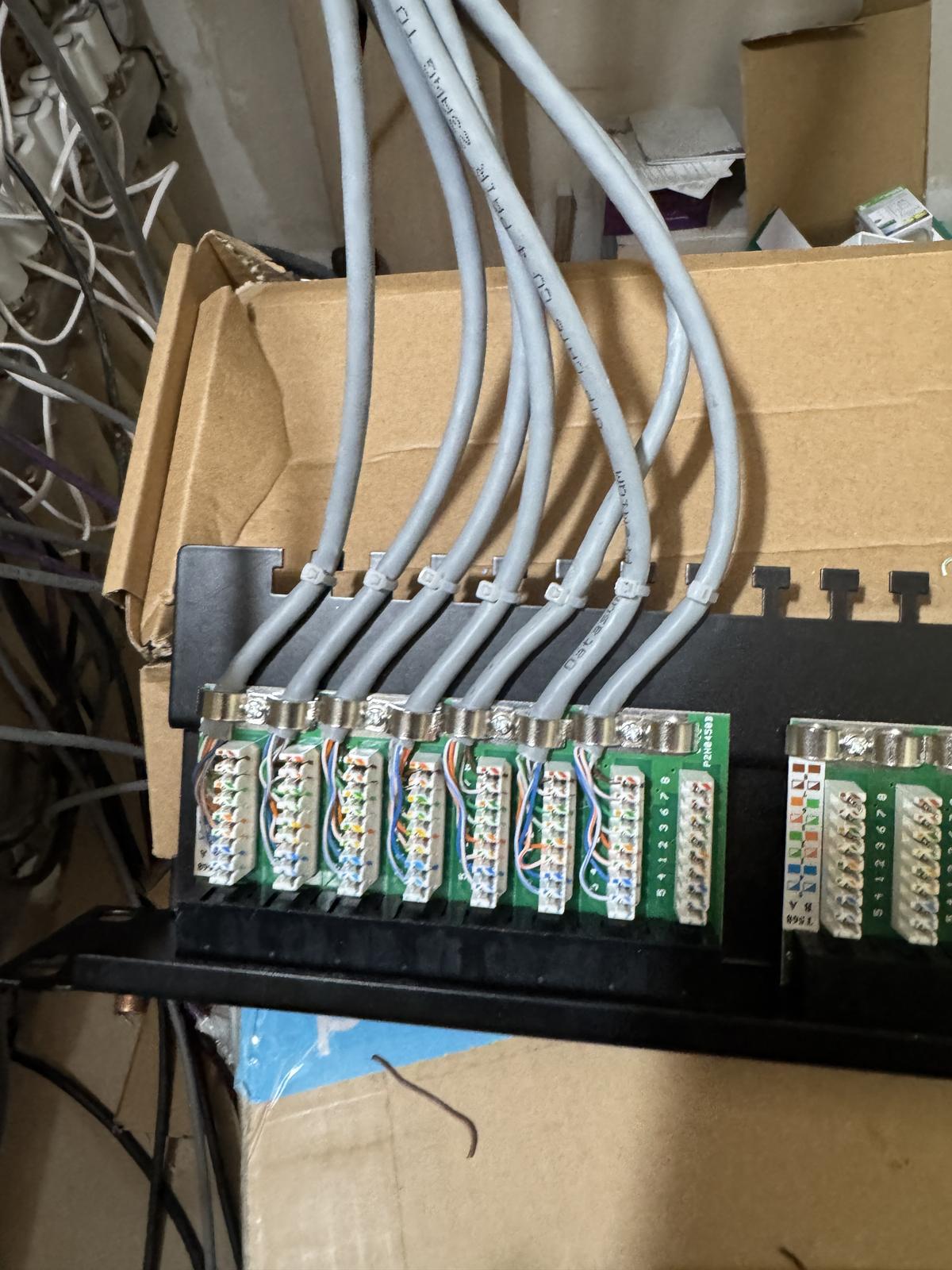 Network cables terminated on a patch panel